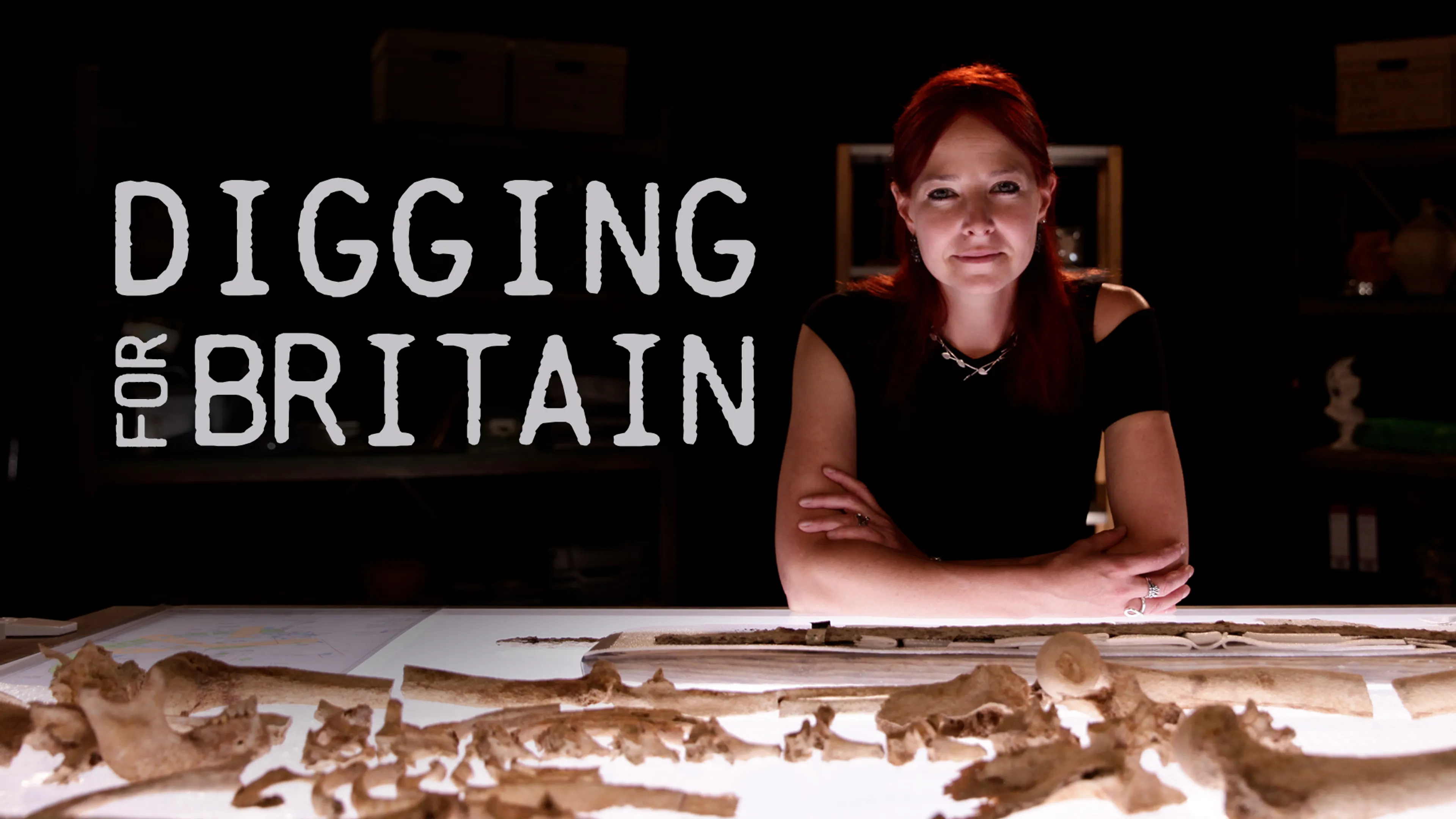 Digging For Britain poster